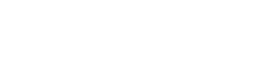 Anabel Group